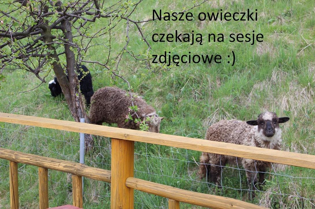 Domki Pod Zielonym Wierchem Zakopane Extérieur photo